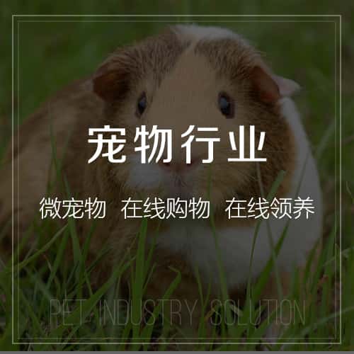 泸州宠物