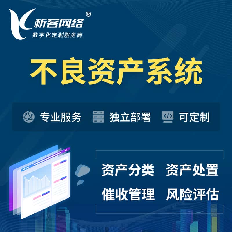 泸州不良资产管理系统